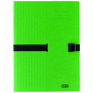 ELBA Dokumentenmappe CLIPN GO DIN A4 aus Karton grün