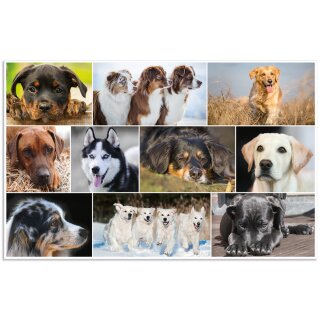 HERMA Schreibunterlage "Hunde" (B)550 x (H)350 mm