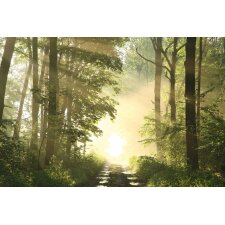 PAPERFLOW Wandbild "Himmel & Erde" aus Plexiglas