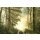 PAPERFLOW Wandbild "Himmel & Erde" aus Plexiglas