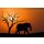 PAPERFLOW Wandbild "Himmel & Erde" aus Plexiglas