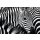 PAPERFLOW Wandbild "Zebra" aus Plexiglas