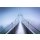 PAPERFLOW Wandbild "Out of Afrika" aus Plexiglas