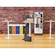 PAPERFLOW Stehtisch easyDesk Durchmesser 800 mm weiß/ weiß