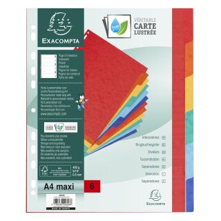 EXACOMPTA Karton-Register DIN A4+ Überbreite 6-teilig