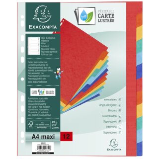EXACOMPTA Karton-Register DIN A4+ Überbreite 12-teilig
