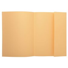 EXACOMPTA Aktendeckel SUPER 250 DIN A4 chamois 50...