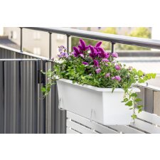 orthex Blumenkasten BOTANICA Breite: 600 mm schwarz