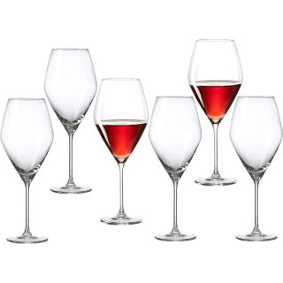 Ritzenhoff & Breker Burgunderglas "SALSA" 0,59 Liter 6 Stück