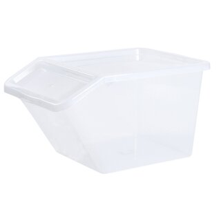 plast team Aufbewahrungsbox BASIC BOX SLANTED 40 Liter transparent