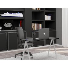 PAPERFLOW Schreibtisch easyHome LV9 metallic-grau/walnuss