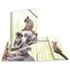 HERMA Eckspannermappe Exotische Tiere A4 Koalafamilie