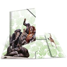 HERMA Eckspannermappe Exotische Tiere A3 Affenbande