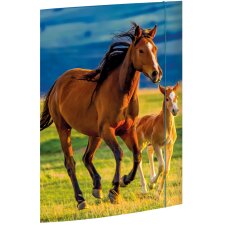 RNK Verlag Zeichnungsmappe "Free Horses" DIN A3
