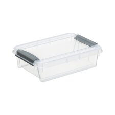 plast team Aufbewahrungsbox PROBOX 0,9 Liter transparent