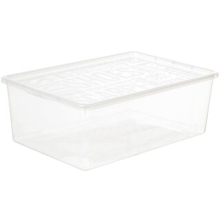 plast team Schuh-Box BASIC BOX large