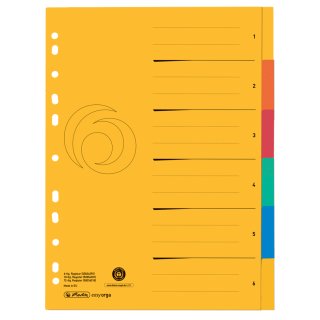 herlitz Karton-Register A4 Überbreite 12-teilig 5-farbig