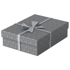Esselte Aufbewahrungs- & Geschenkbox Home M 3er Set grau