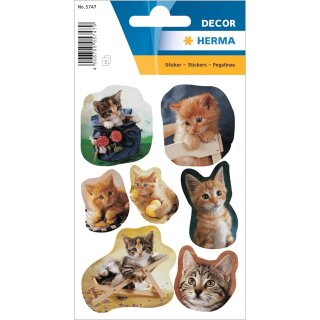 HERMA Sticker DECOR "fotogene Kätzchen" 3 Blatt à 7 Sticker