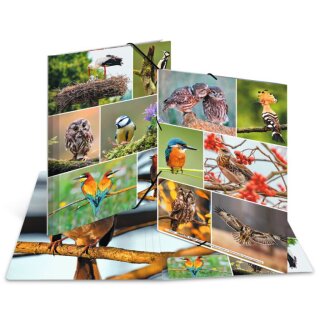 HERMA Eckspannermappe "Heimatvögel" Karton DIN A3