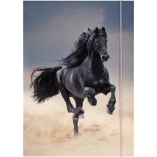 folia Zeichnungsmappe BASIC "Black Horse"...
