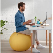 LEITZ Sitzball Ergo Cosy Durchmesser: 650 mm grau
