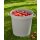 orthex Gartencontainer/Behälter 45 Liter hellgrau