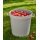 orthex Gartencontainer/Behälter 65 Liter dunkelgrau