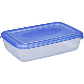 plast team Gefrierdose Polar 0,45 Liter blau rechteckig