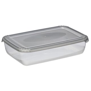 plast team Gefrierdose Polar 3,0 Liter grau rechteckig