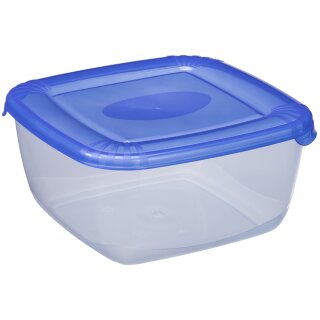 plast team Gefrierdose Polar 1,5 Liter blau quadratisch