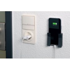 DURABLE Tablet-Wandhalterung VISIOCLIP anzthazit 2 Clips