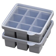 APS Eiswürfeldose mit Deckel transparent / grau 2er...