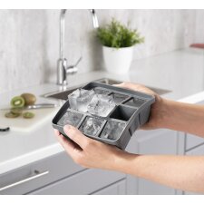 APS Eiswürfeldose mit Deckel transparent / grau 2er...