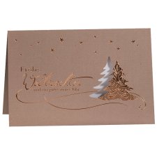 RÖMERTURM Weihnachtskarte "Eisblumen"