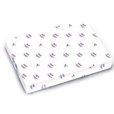 Clairefontaine Multifunktionspapier DCP INKJET DIN A3 100...