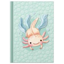 RNK Verlag Notizbuch "Axolotl" DIN A5 96 Blatt...
