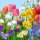 PAPSTAR Oster-Motivservietten "Flowers of Spring" 330 x 330 mm 20 Stück
