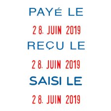 trodat Datumstempel Printy Dater 4850L "SAISI LE" (FR)