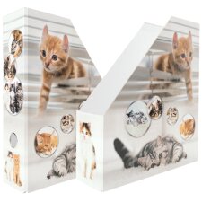 HERMA Stehsammler "Katzen" DIN A4 Karton (B)85 mm