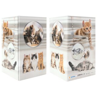 HERMA Stifteköcher "Katzen" Karton