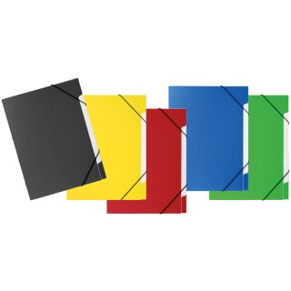 PAGNA Ordnungsmappen-Set "Coool Basic" PP A4 5 Fächer