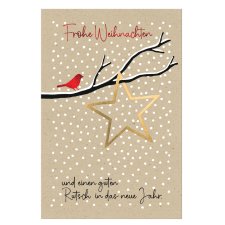 SUSY CARD Weihnachtskarte "Xmas bird"
