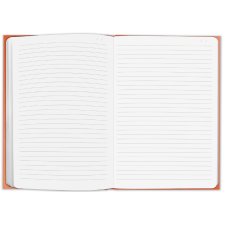 CARAN DACHE Notizbuch COLORMAT-X DIN A5 liniert rosa 60 Blatt / 120 Seiten