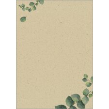 sigel Design-Papier "Eucalyptus" DIN A4 100...