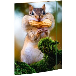 RNK Verlag Zeichnungsmappe "Chipmunk" DIN A3
