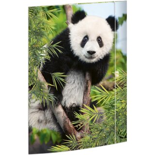 RNK Verlag Zeichnungsmappe "Panda" DIN A3