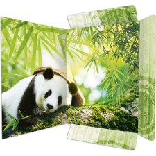 RNK Verlag Zeichnungsmappe "Panda" DIN A3