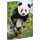 RNK Verlag Zeichnungsmappe "Panda" DIN A3