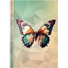 RNK Verlag Notizbuch "Schmetterling" DIN A5 kariert Kladde 96 Blatt